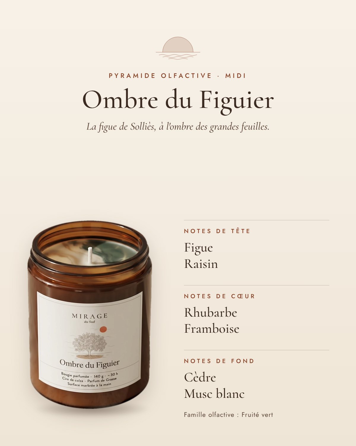 Pyramide olfactive d'Ombre du Figuier : notes de tête figue et raisin, notes de cœur rhubarbe et framboise, notes de fond cèdre et musc blanc ; famille fruité vert